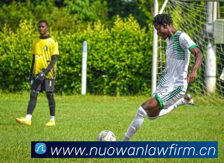 企业概况